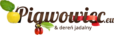Logo Pigwowiec i Dereń jadalny sklep internetowy